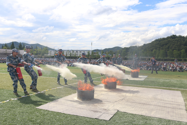 1505892532259352.jpg 38AFD